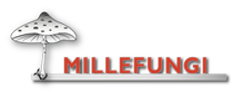 millefungi