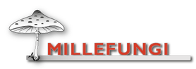 application de reconnaissance de champignons